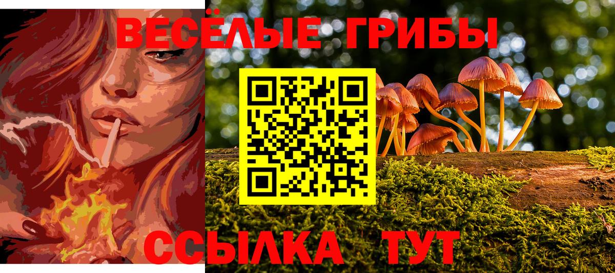 Псилоцибиновые грибы мухоморы Кохма