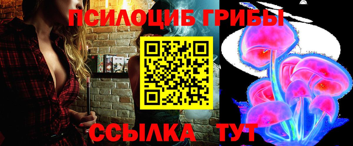 Кохма  Псилоцибиновые грибы MAGIC MUSHROOMS  Вход с VPN 